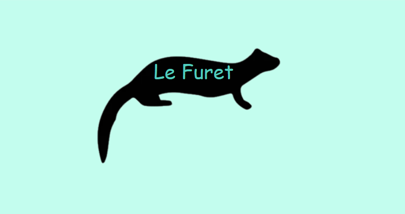logo furet
